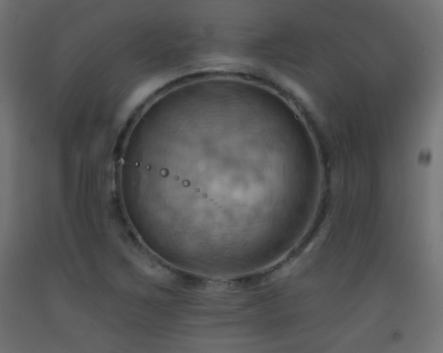 X0000093521267200710121538