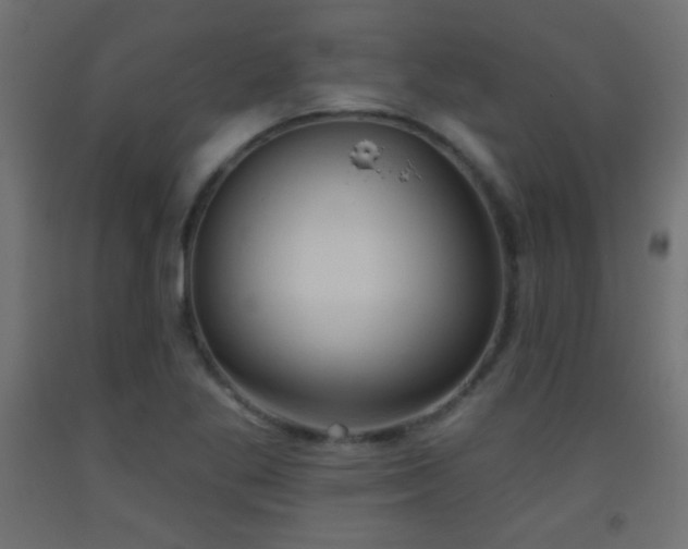 X0000093521269200710121537
