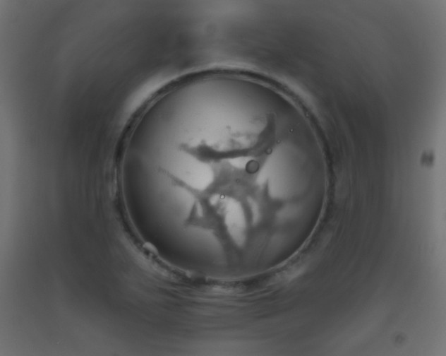 X0000093521271200710121537