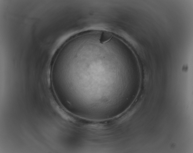 X0000093521272200710121537