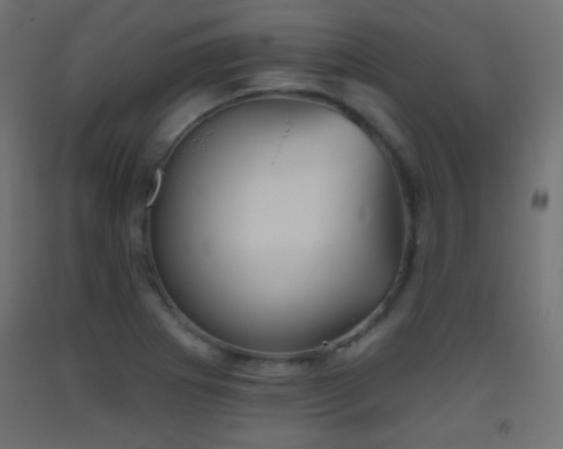 X0000093521273200710121537