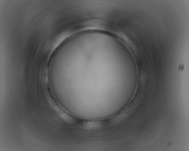 X0000093521274200710121537