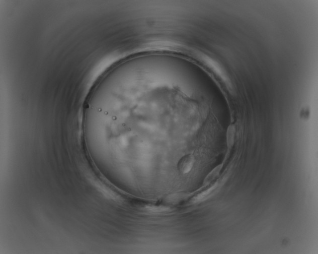 X0000093521275200710121537