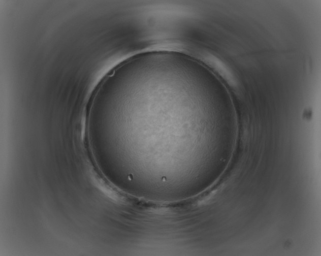 X0000093521276200710121537