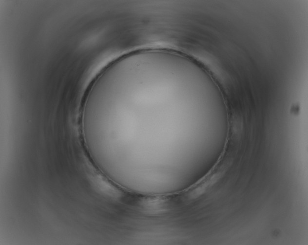 X0000093521278200710121537