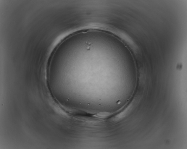 X0000093521280200710121537