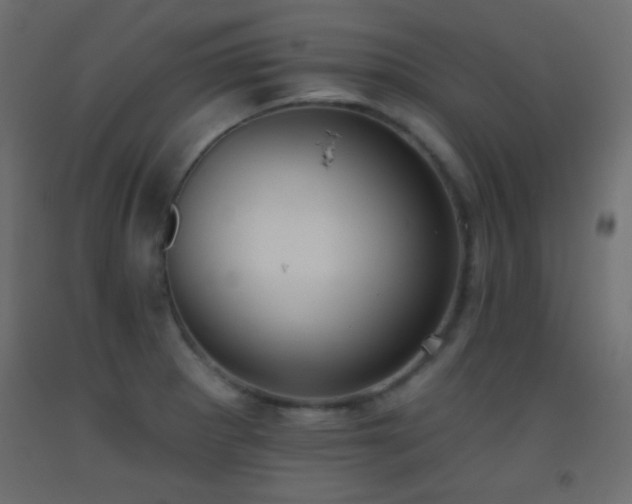 X0000093521281200710121537