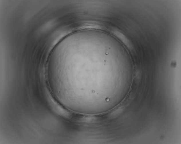 X0000093521282200710121537