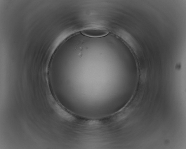 X0000093521283200710121537
