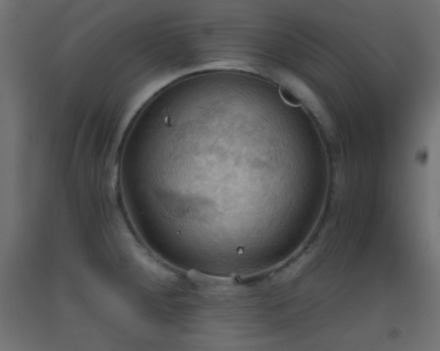 X0000093521284200710121537