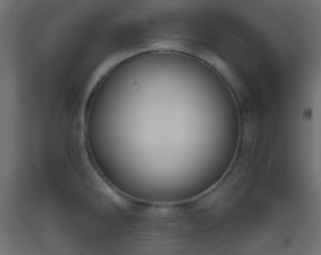 X0000093521286200710121537