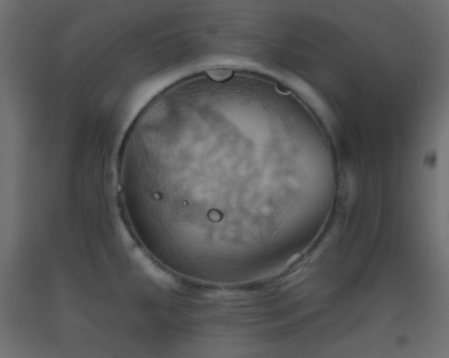 X0000093521287200710121537