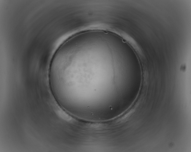 X0000093521288200710121537