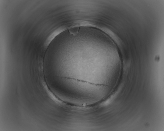 X0000093521289200710121537