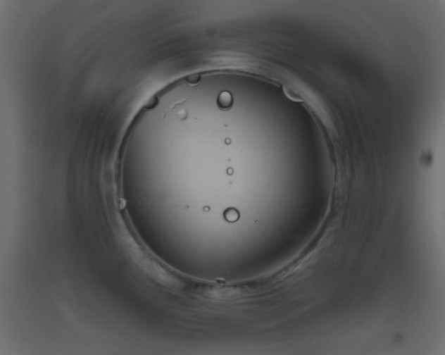 X0000093521291200710121537