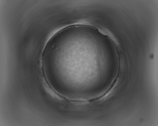 X0000093521292200710121537
