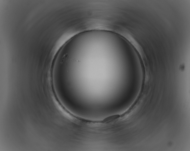 X0000093521293200710121537