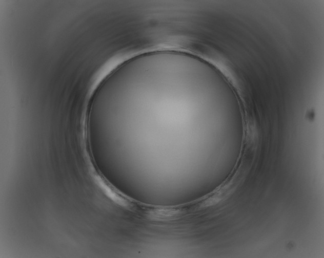 X0000093521294200710121537