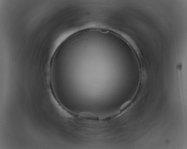 X0000093521295200710121537