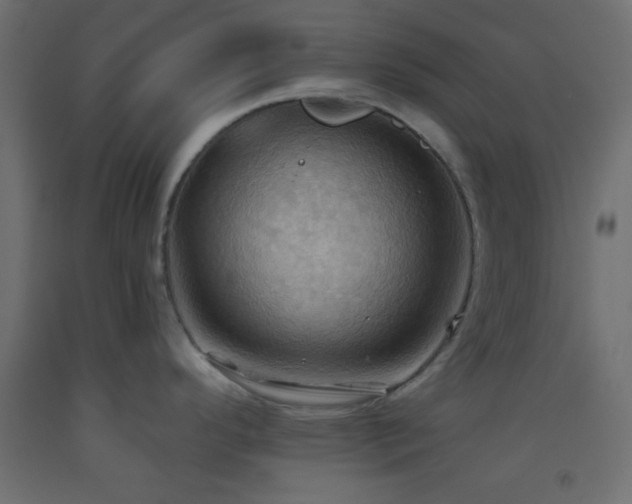 X0000093521296200710121537
