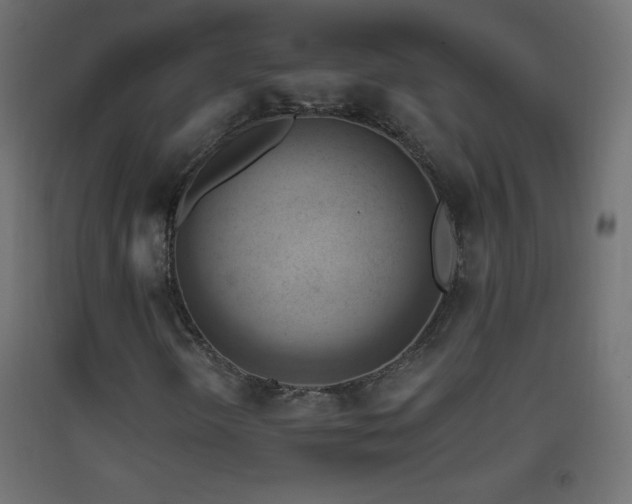 X0000093521298200710121536