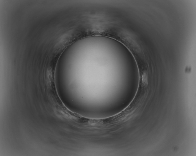 X0000093521299200710121536
