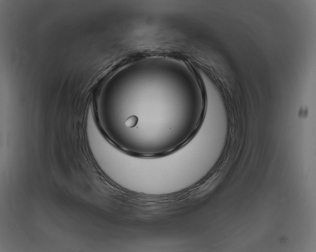 X0000093521300200710121536