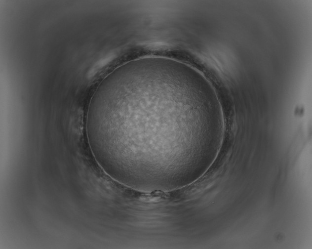 X0000093521301200710121536