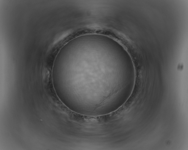 X0000093521302200710121536