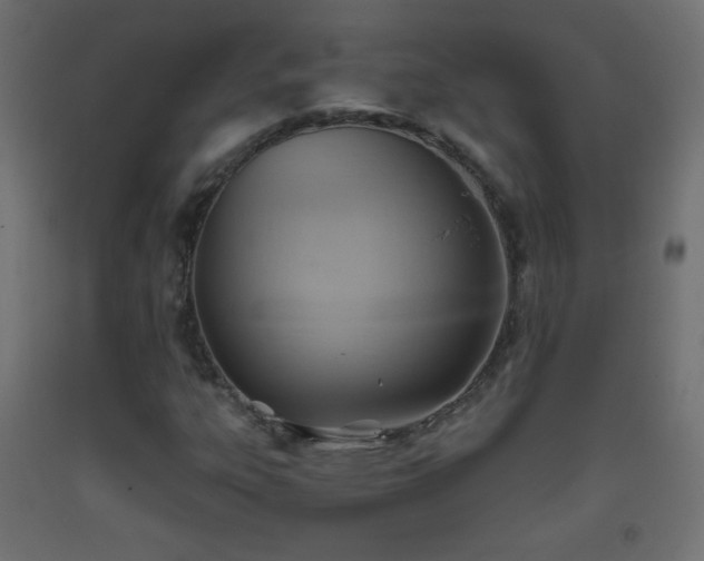X0000093521303200710121536