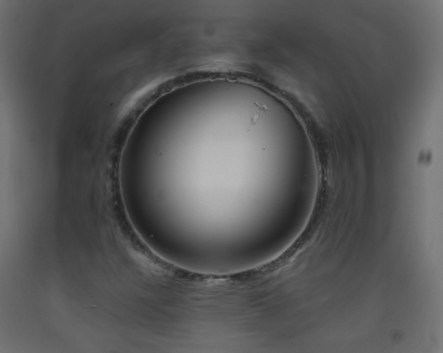 X0000093521304200710121536