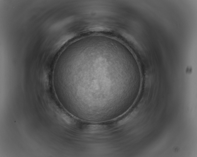 X0000093521305200710121536