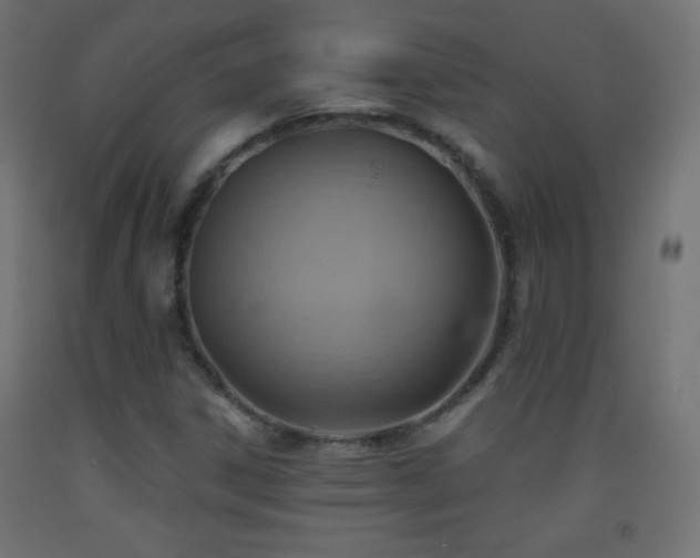 X0000093521306200710121536