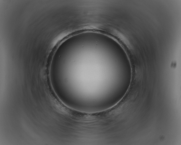 X0000093521308200710121537