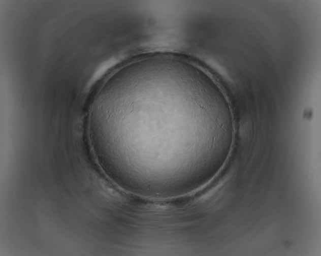 X0000093521309200710121537