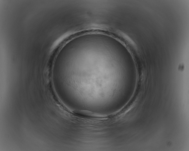 X0000093521310200710121537