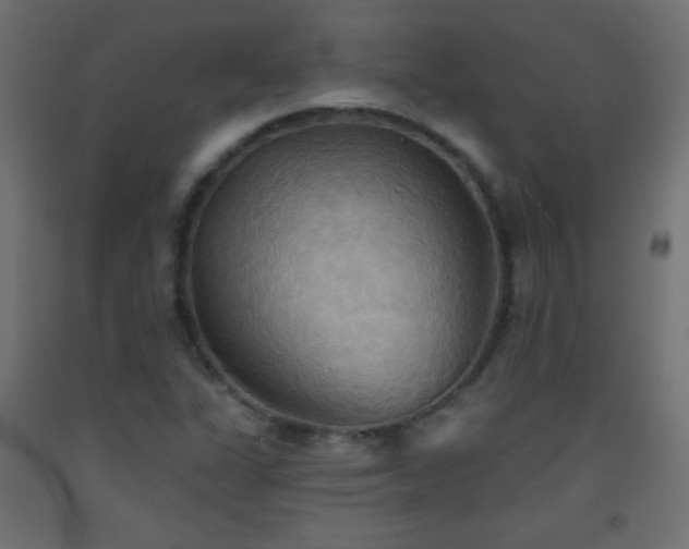X0000093521311200710121537