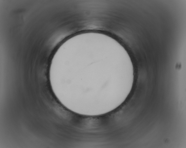 X0000093521314200710121537