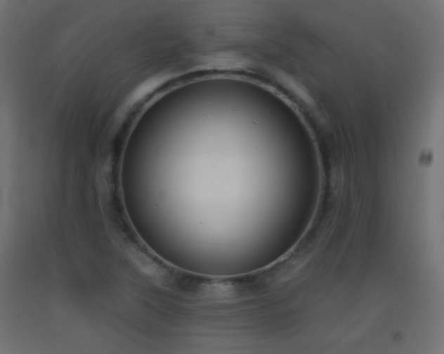 X0000093521315200710121537