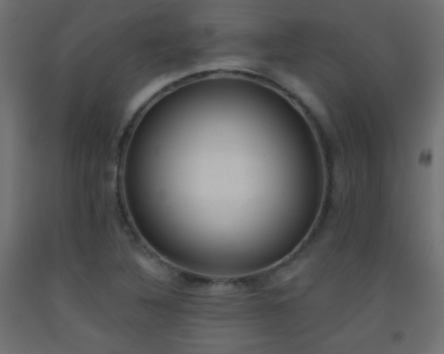 X0000093521316200710121537