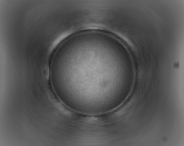 X0000093521317200710121537