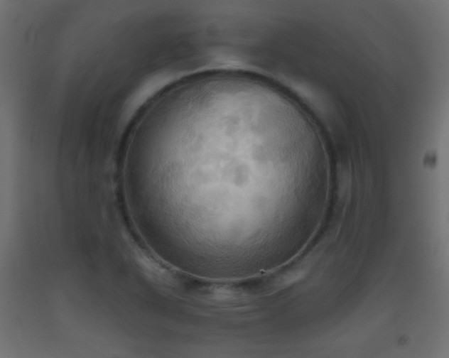 X0000093521318200710121537