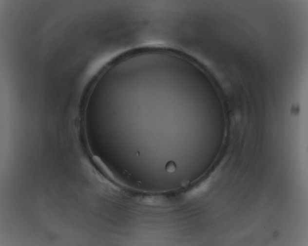X0000093521319200710121537