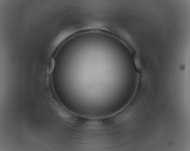 X0000093521320200710121537