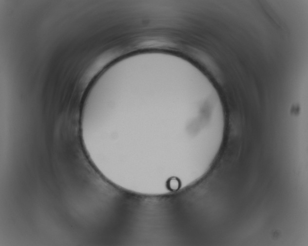 X0000093521322200710121537