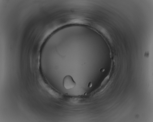 X0000093521323200710121537