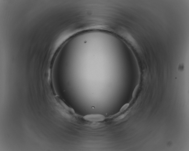 X0000093521324200710121537