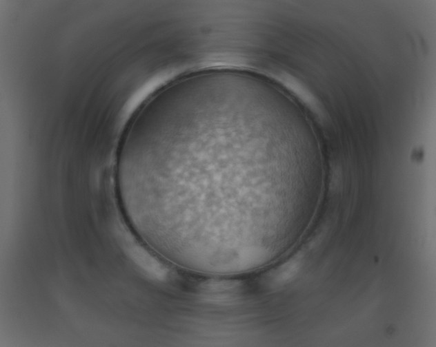 X0000093521325200710121537