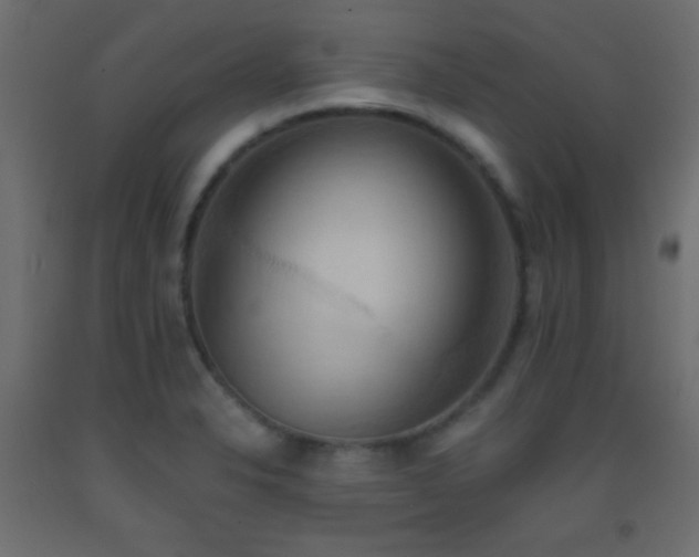 X0000093521326200710121537