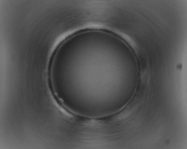 X0000093521327200710121537